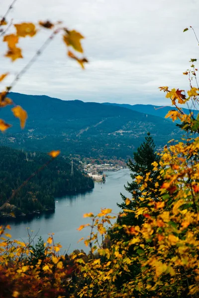 Belo Parque Topo Montanha Burnaby Com Vancouver City Fundo — Fotografia de Stock