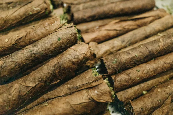 Articulación Hojas Tabaco Marihuana — Foto de Stock