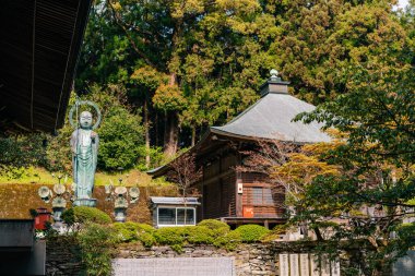 Shikoku, Japonya - 2 Mayıs 2025 Sankaku ij Tapınağı No. Shikoku haccında 65 kişi. Yüksek kalite fotoğraf