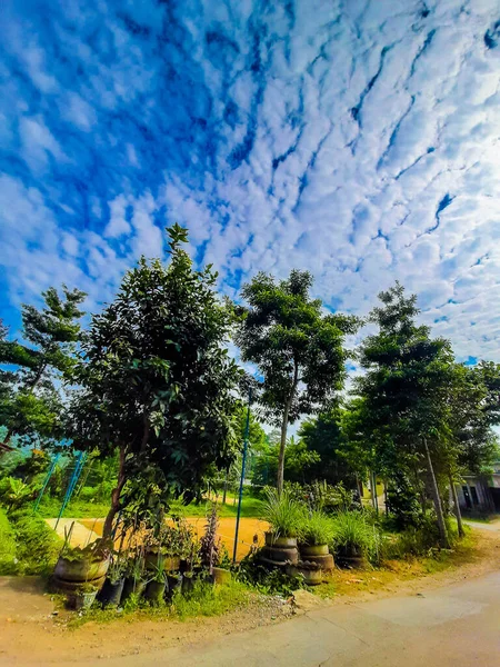 Φωτογραφία Μιας Ταξιδιωτικής Σκηνής Όμορφη Θέα Στα Σύννεφα Και Δέντρα — Φωτογραφία Αρχείου