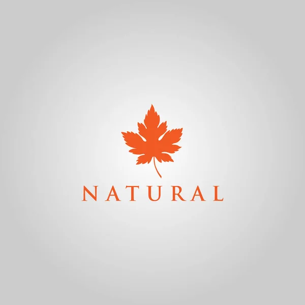 Natur Logo Design Vorlage Mit Herbstblatt Symbol — Stockvektor