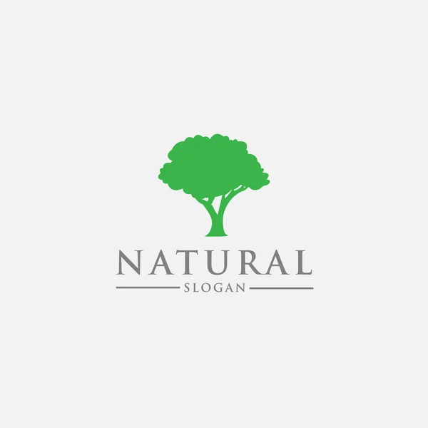 Logo Design Vorlage Mit Einem Grünen Baum Symbol — Stockvektor