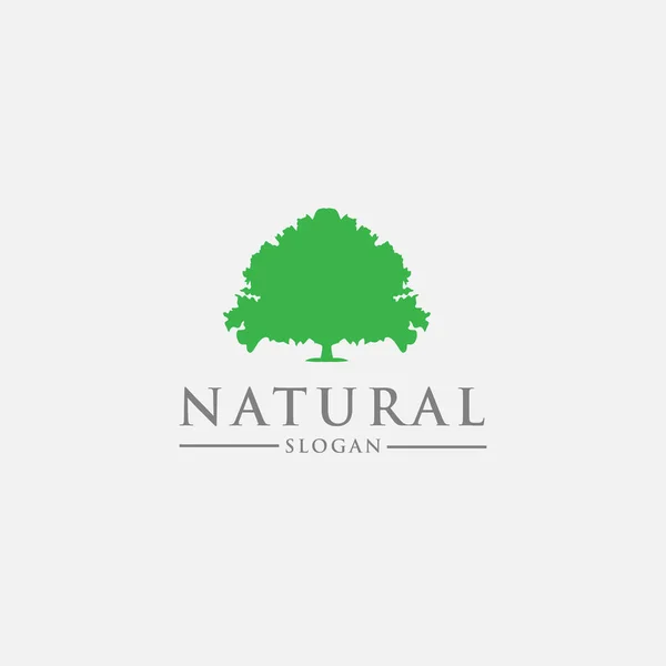 Logo Design Vorlage Mit Einem Grünen Baum Symbol — Stockvektor