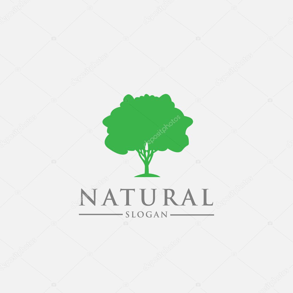 Logo design template, with a green tree icon