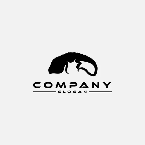 Modelli Design Logo Con Icone Iguana Colorate Silhouette — Vettoriale Stock