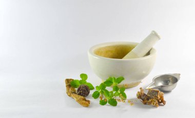 beyaz bitki karıştırıcı ve diğer otlar beyaz arka planda ayurvedik tıbbı temsil eder. 