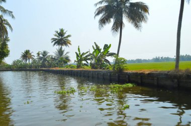 Halep 'in durgun suları ve devasa ağaçlarıyla manzaralı güzelliğini gösteren güzel bir görüntü. Alappuzha Sahili, Kerala 'nın milyonlarca yerli ve yabancı turisti bölgeye çeken en popüler turistik merkezidir. 