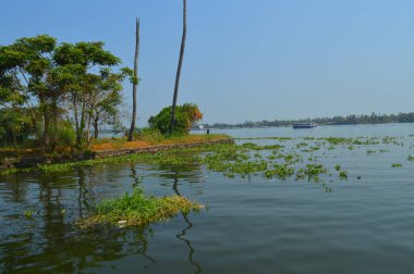 Halep 'in durgun suları ve devasa ağaçlarıyla manzaralı güzelliğini gösteren güzel bir görüntü. Alappuzha Sahili, Kerala 'nın milyonlarca yerli ve yabancı turisti bölgeye çeken en popüler turistik merkezidir. 