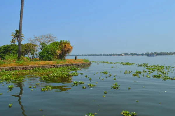 Halep 'in durgun suları ve devasa ağaçlarıyla manzaralı güzelliğini gösteren güzel bir görüntü. Alappuzha Sahili, Kerala 'nın milyonlarca yerli ve yabancı turisti bölgeye çeken en popüler turistik merkezidir. 