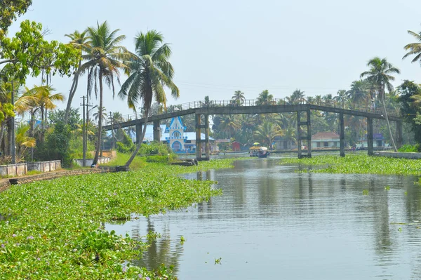 Prachtig Beeld Van Schilderachtige Schoonheid Van Aleppey Met Backwaters Backwaters — Stockfoto