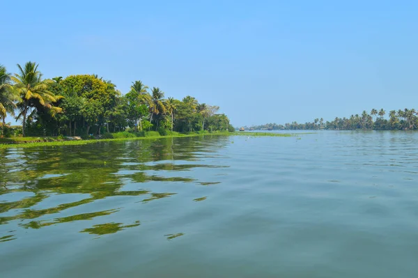 Halep 'in durgun suları ve devasa ağaçlarıyla manzaralı güzelliğini gösteren güzel bir görüntü. Alappuzha Sahili, Kerala 'nın milyonlarca yerli ve yabancı turisti bölgeye çeken en popüler turistik merkezidir.. 