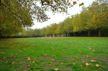 Güzel bir park görüntüsü 