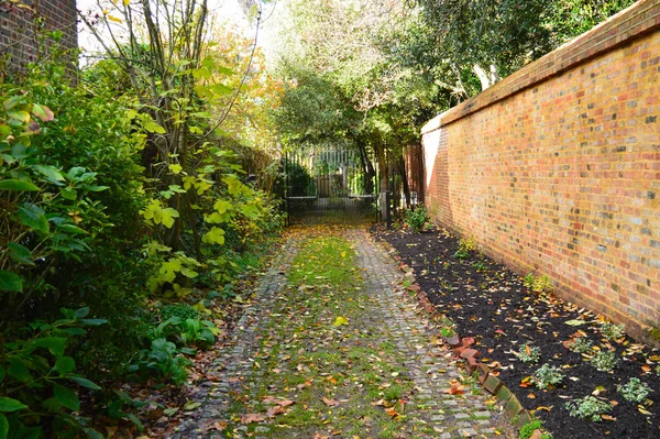 Caminho Pavimentado Com Uma Parede Tijolo Lado Plantação Outro — Fotografia de Stock