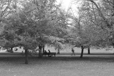 Sarı ve kahverengi yaprakları dökülmüş bir ağacın altında oturan iki kişinin siyah ve beyaz görüntüsü.