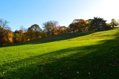 Yeşil çimen, renkli ağaçlar ve duvar kâğıdına uygun mavimsi bir manzara.