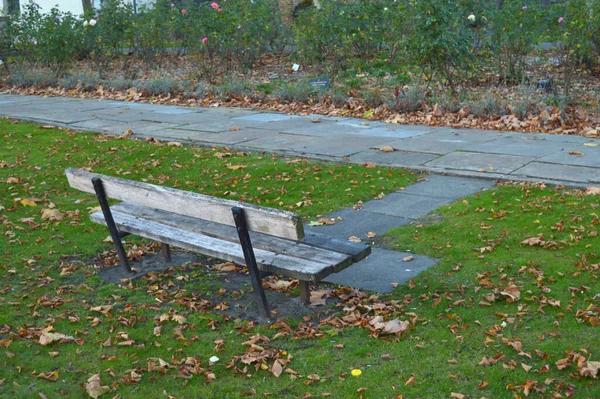 Empty Bench Park Waiting Occupied — Stock Photo, Image