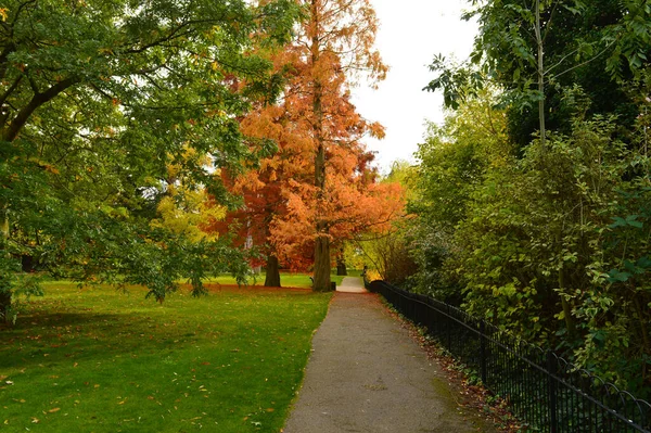 Sentier Dans Parc Avec Arbre Rouge Entouré Arbres Verts — Photo