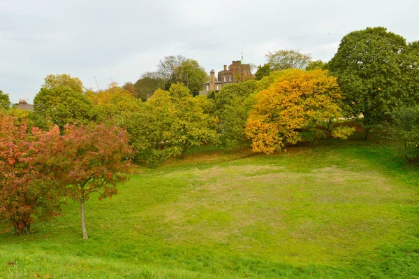 Hermoso Paisaje Con Árboles Diferentes Colores Césped Verde — Foto de Stock