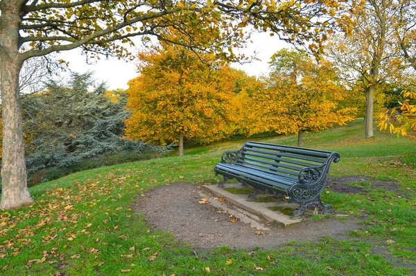Empty Park Bench Park Surrounded Colourful Trees — Stock Photo, Image