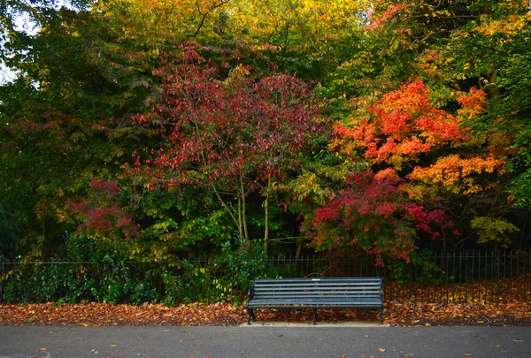 Banco Vazio Parque Com Árvores Coloridas Fundo — Fotografia de Stock