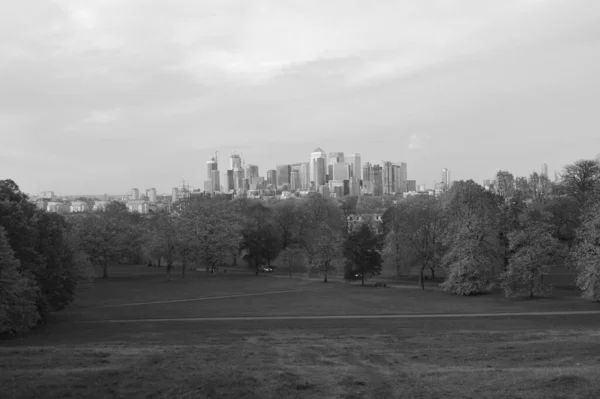 black and white landscape image with grass and trees with London skyline in the background