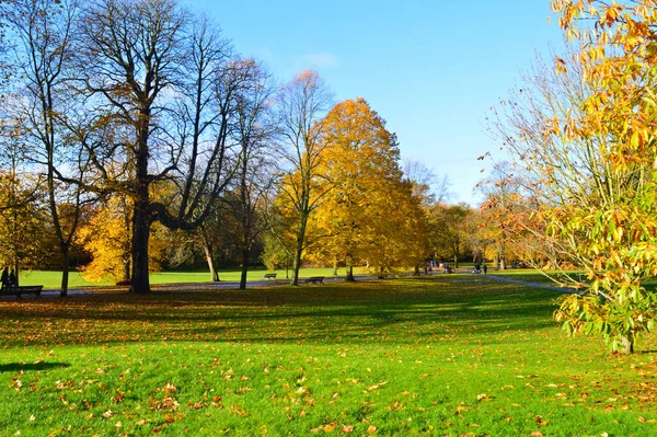 Bellissimo Paesaggio Con Erba Verde Alberi Colorati Bluesky Adatto Una — Foto Stock