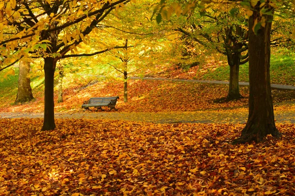 Banco Vazio Parque Cercado Por Folhas Caídas Amarelo Marrom — Fotografia de Stock