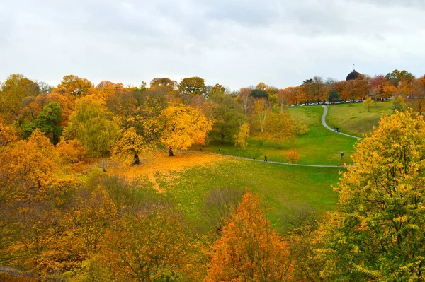Krajobraz Ukazujący Wiele Ścieżek Wśród Zielonej Trawy Kolorowych Drzew Daleka — Zdjęcie stockowe