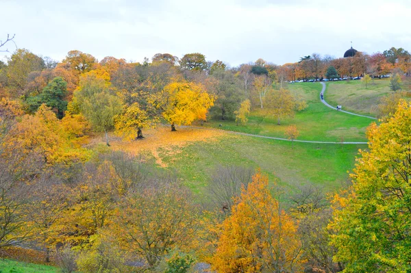 Landschaft Mit Vielen Wegen Zwischen Grünem Gras Und Bunten Bäumen — Stockfoto