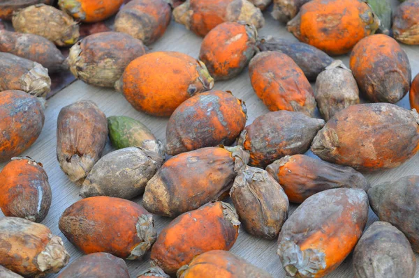 Noz Areca Semente Palmeira Areca Comumente Referido Como Porca Betel — Fotografia de Stock