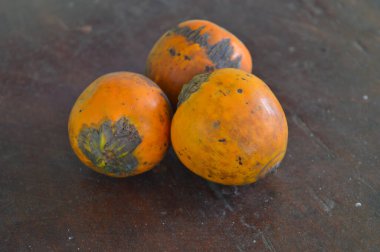 Areca fındığı areca palmiyesinin tohumudur. Genellikle betel fındığı olarak adlandırılır. Areca fındığı gerçek bir fındık değil, meyve olarak sınıflandırılmış bir meyve tohumu. Ticari olarak kurumuş, iyileşmiş ve taze formlarda satılıyor. Ne zaman kabuk