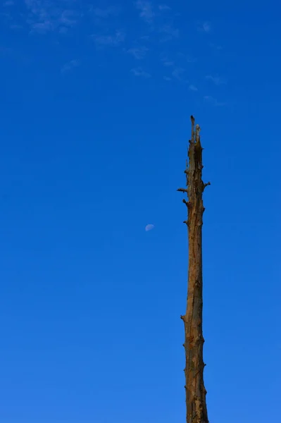 Der Blaue Himmel Repräsentiert Die Idee Der Freiheit Durch Wissen — Stockfoto