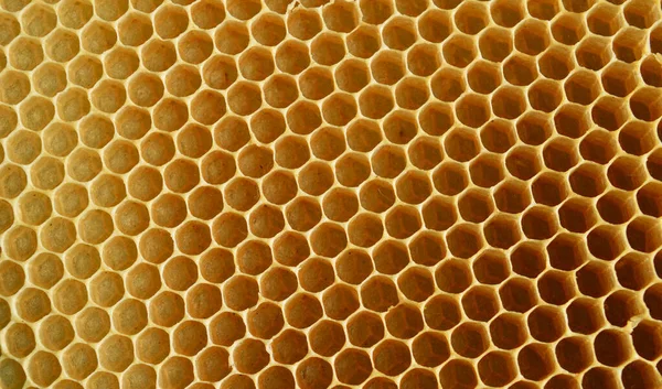 Panal Una Masa Células Cera Prismática Hexagonal Construidas Por Abejas —  Fotos de Stock