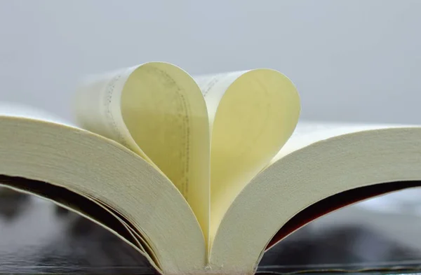 Image Shows Book Its Pages Placed Heart Indicating Love Knowledge — Stock Photo, Image