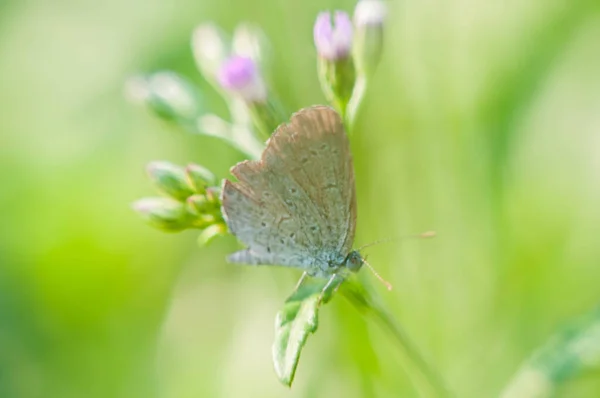 Tarih: 2020-06-26T16: 11: 31.073ZUrl: / files / next.html Sunucu: nginx Durumu: 404 - hata