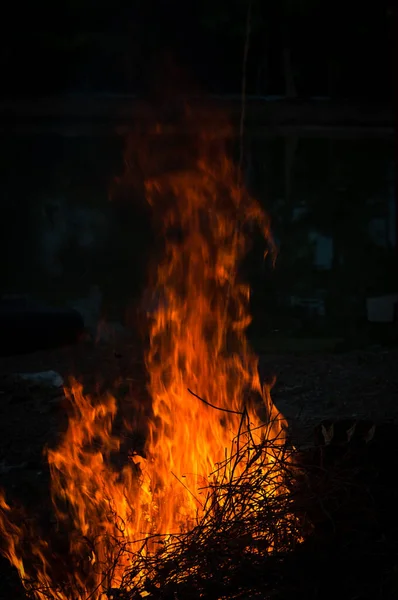 Veröffentlichungstermin Für Halloween Der Vollmondnacht — Stockfoto