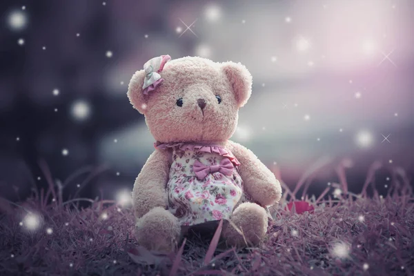 Beautiful Teddy Bear Night — Stock Photo, Image