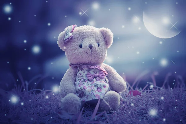 Teddybjörnen Natten Halvmånen Vacker — Stockfoto