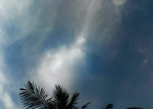 Блакитне Небо Вдень Кокосовими Деревами — стокове фото
