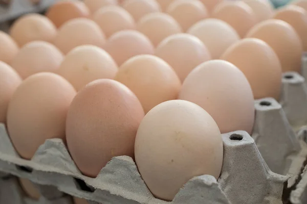 Fresh brown chicken eggs in carton egg box, trays. Selective focus.