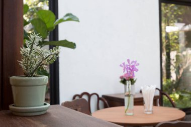 Saksıda çiçekli kafe, masaların içi...