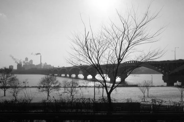 Vue Pont Noir Blanc Blanc Noir — Photo