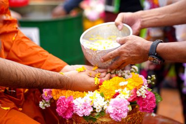 Eller, Songkran geleneklerine göre keşiş dökmek için bir kase su tutuyor. Thai halkının elleri Buda Songkran festivaline su döküyor. Songkran, Tayland 'ın yeni yılı.