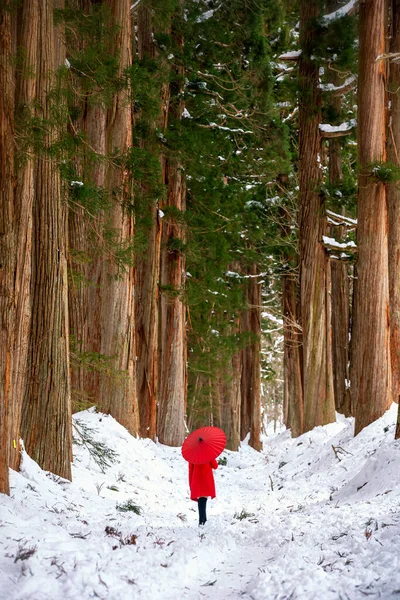 Храм Тогакуси Девушка Красным Зонтиком Сосновом Лесу — стоковое фото