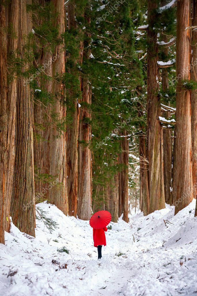 Togakushi Shrine, a girl holding a red umbrella in the pine forest