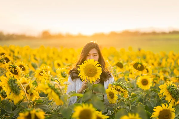 Portrait Woman Sunflower Summer Beautiful Young Asian Girl Sunflower Field — Stock Photo, Image