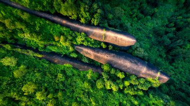 Tayland 'da üç balina taşı popüler doğal cazibedir. Tayland, Bungkarn 'daki Phu Sing Country Park' ta üç balinanın kuş bakışı görüntüsü..