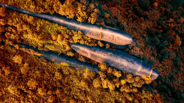 Three whale stones is Popular natural attractions in Thailand. Bird eye view shot of three whales rock in Phu Sing Country park in Bungkarn, Thailand. In the autumn.