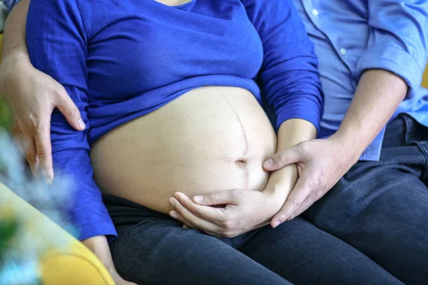 Manžel Manželka Těhotenství Portrét Těhotné Ženy Manžela Usmívá Otec Těhotné — Stock fotografie