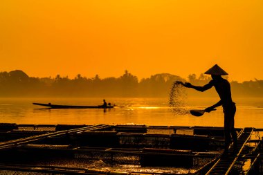 Balıkçı balıkları Mekong nehrindeki ticari bir çiftlikte besliyor. Çiftçiler Mekong Nehri 'nde kafeslerde balık besliyor. Tayland 'ın kuzeydoğusunda balık beslemek için Tilapia..
